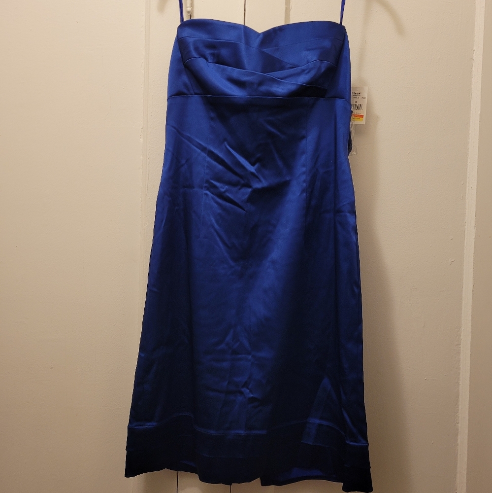 NWT, Size 10, Tahari dress